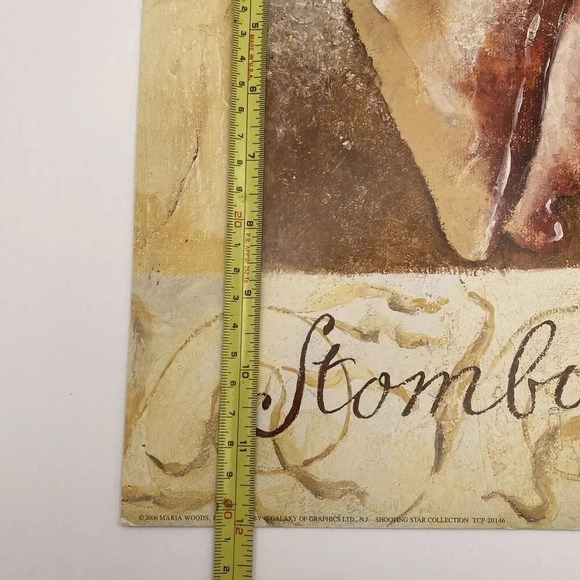 Lot Of 4 Shell Art Prints 12x12 Caribbean, Japan, Gulf of Mexico, Indo Pacific - Picture 7 of 10